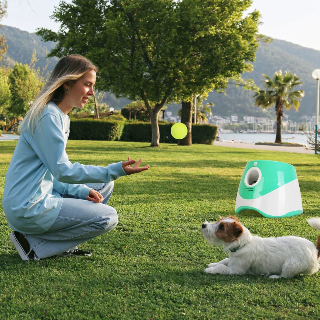 Dog fetch machine throwing tennis ball for active play