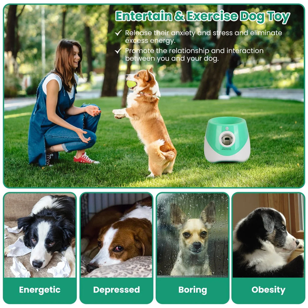 Dog fetch machine throwing tennis ball for active play to entertain you dog