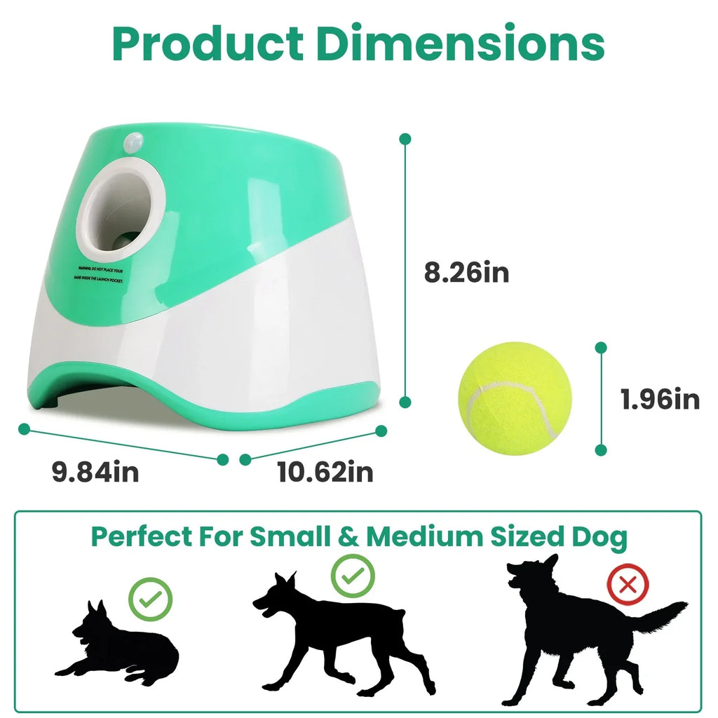 Interactive automatic ball launcher for small and medium dog